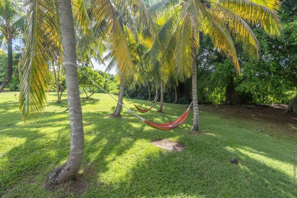Suite Tropicale Village Vacances Sainte-Luce Kültér fotó